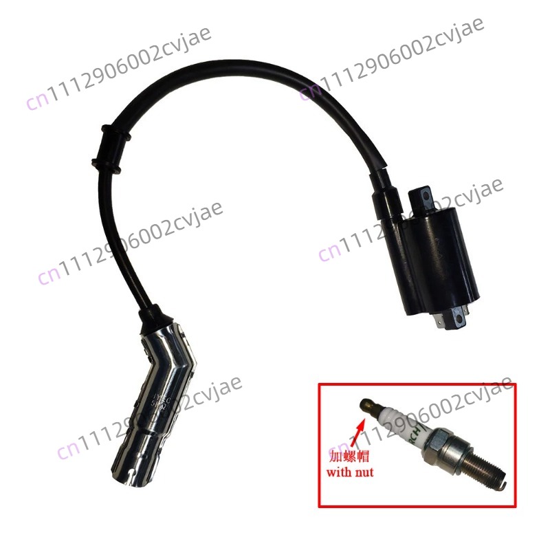 ZT310-V X T R1 2 Motorrad Hoch – Motorcycle Spark Plug Bewertung und Preis